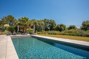 Una piscina con agua cristalina, rodeada por un patio con sillones de descanso y una palmera.