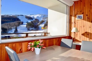 Un intérieur en bois comprenant une table à manger, des chaises, une plante en pot et une fenêtre donnant sur un paysage enneigé.