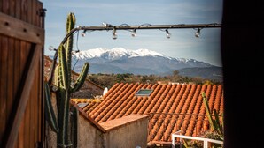 Vista de montaña con tejado de baldosas y un cactus en primer plano.