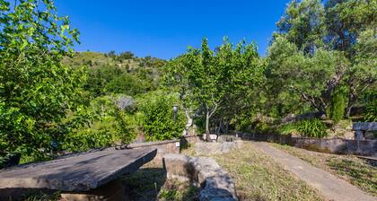 Ferienwohnung 'Casa Del Cedro' mit Meerblick, privater Terrasse und Wi-Fi