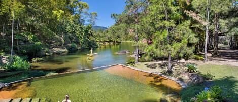 50-inch Smart TV with satellite channels