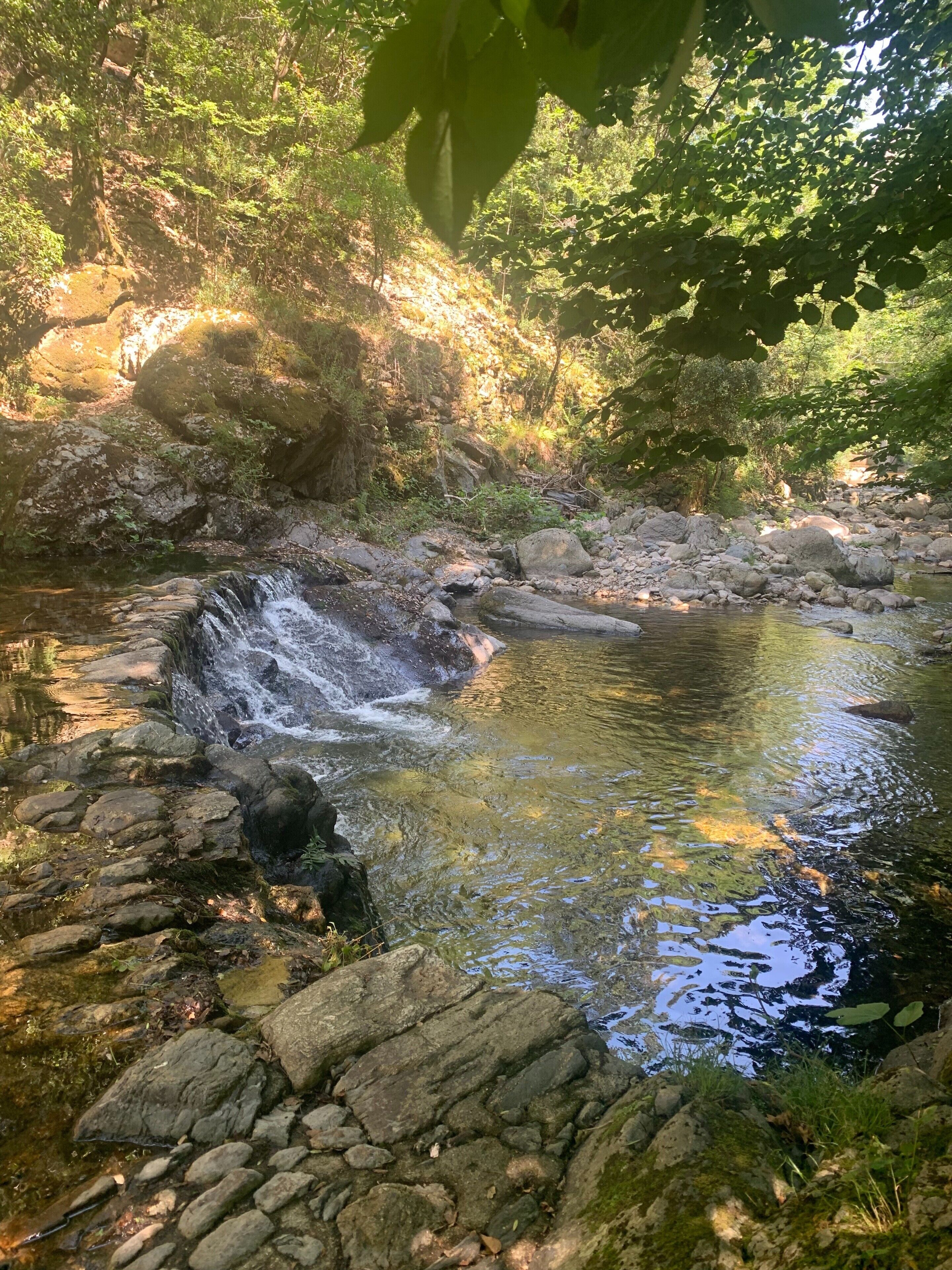 Een natuurlijke waterpartij met rotsen en begroeiing.