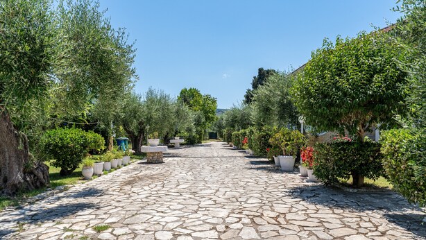 A stone-paved pathway flanked by trees and potted plants, leading to a distant building. - Studio 'Alexandros Studios 5' with Shared Pool, Wi-Fi and Air Conditioning (Roda)