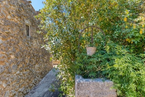 Àrea exterior de l'allotjament