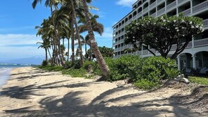 Um hotel à beira-mar com várias varandas, palmeiras e uma praia de areia.