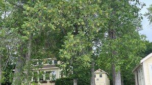 Eine Holzstele führt zu einem Haus mit einer kleinen Veranda und einer Bank.