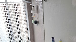 Ein Badezimmer mit Toilette, Duschbereich und Fliesenboden.