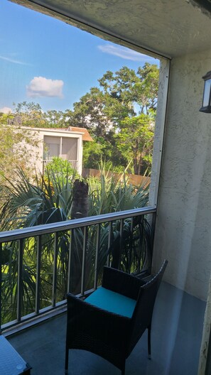 Property grounds - Furnished Mid-term Rental in Peaceful 2BR Near Everything in Clearwater (Clearwater)