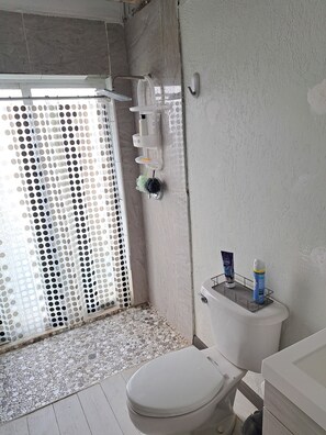 Jetted bath, towels, soap, toilet paper