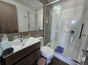 Assecador de cabells, tovalloles, sabó i paper higiènic 