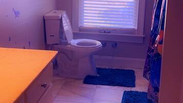 Hair dryer, towels, soap, toilet paper