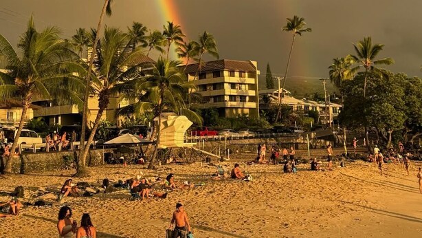 A beach with palm trees and a building in the background.