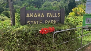 A sign for Akaka Falls State Park surrounded by lush greenery and a metal fence.