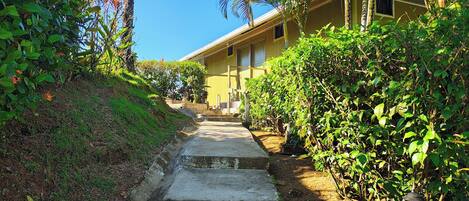 A pathway leading to a building surrounded by lush greenery and palm trees.