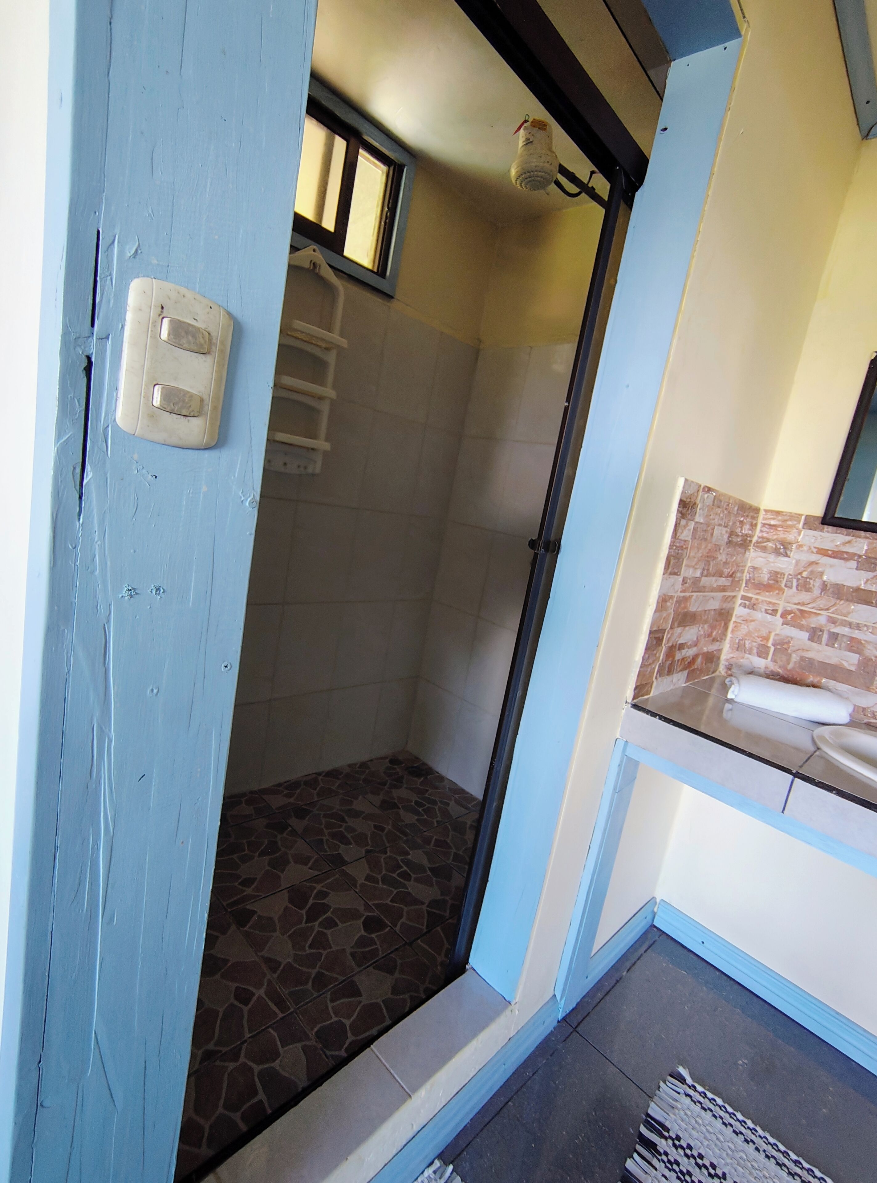 A bathroom with a shower, a window, and a towel rack.