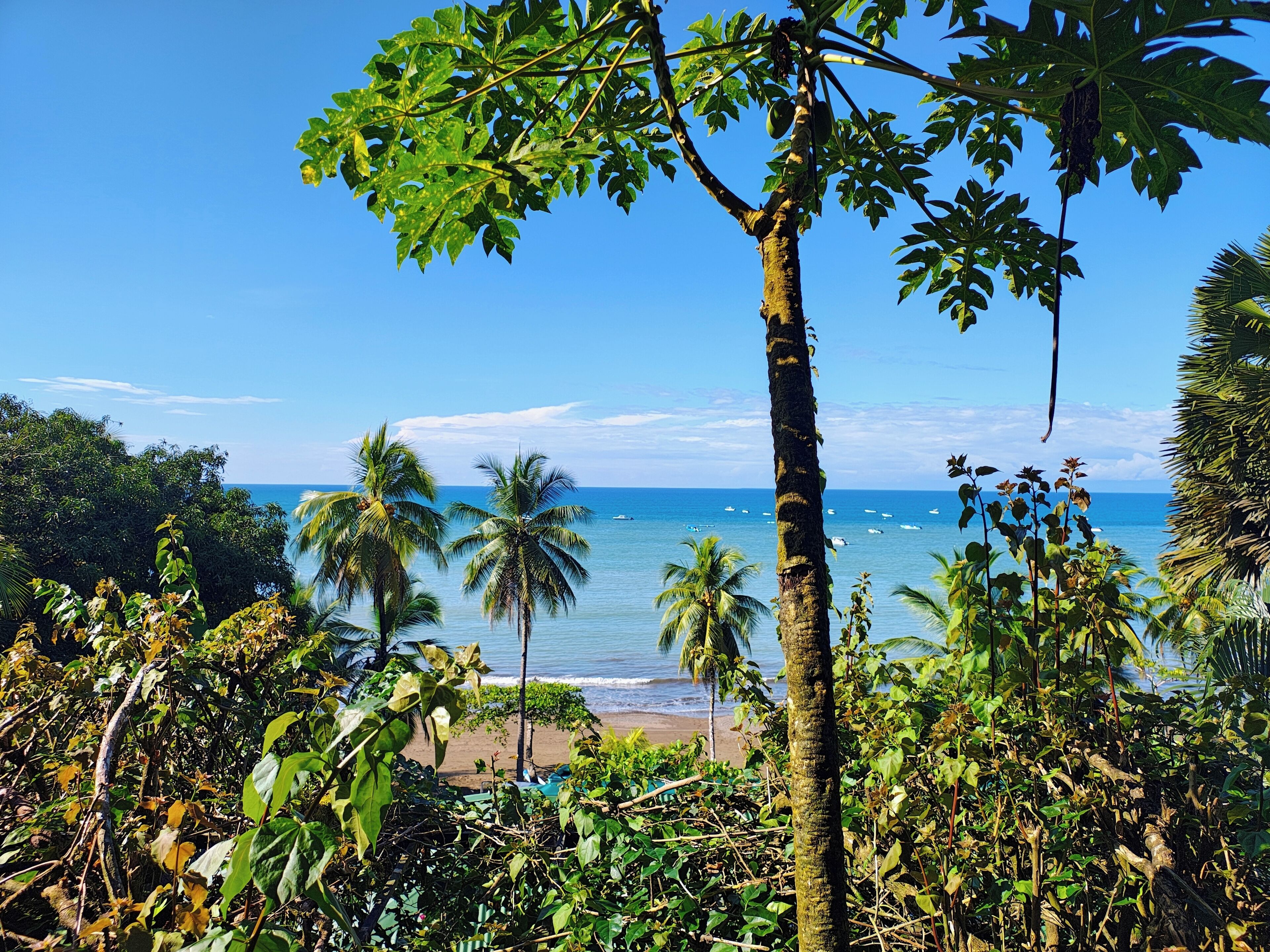 标准房, 海洋景观 | 免费 WiFi、床单