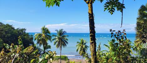 Chambre Standard, vue océan