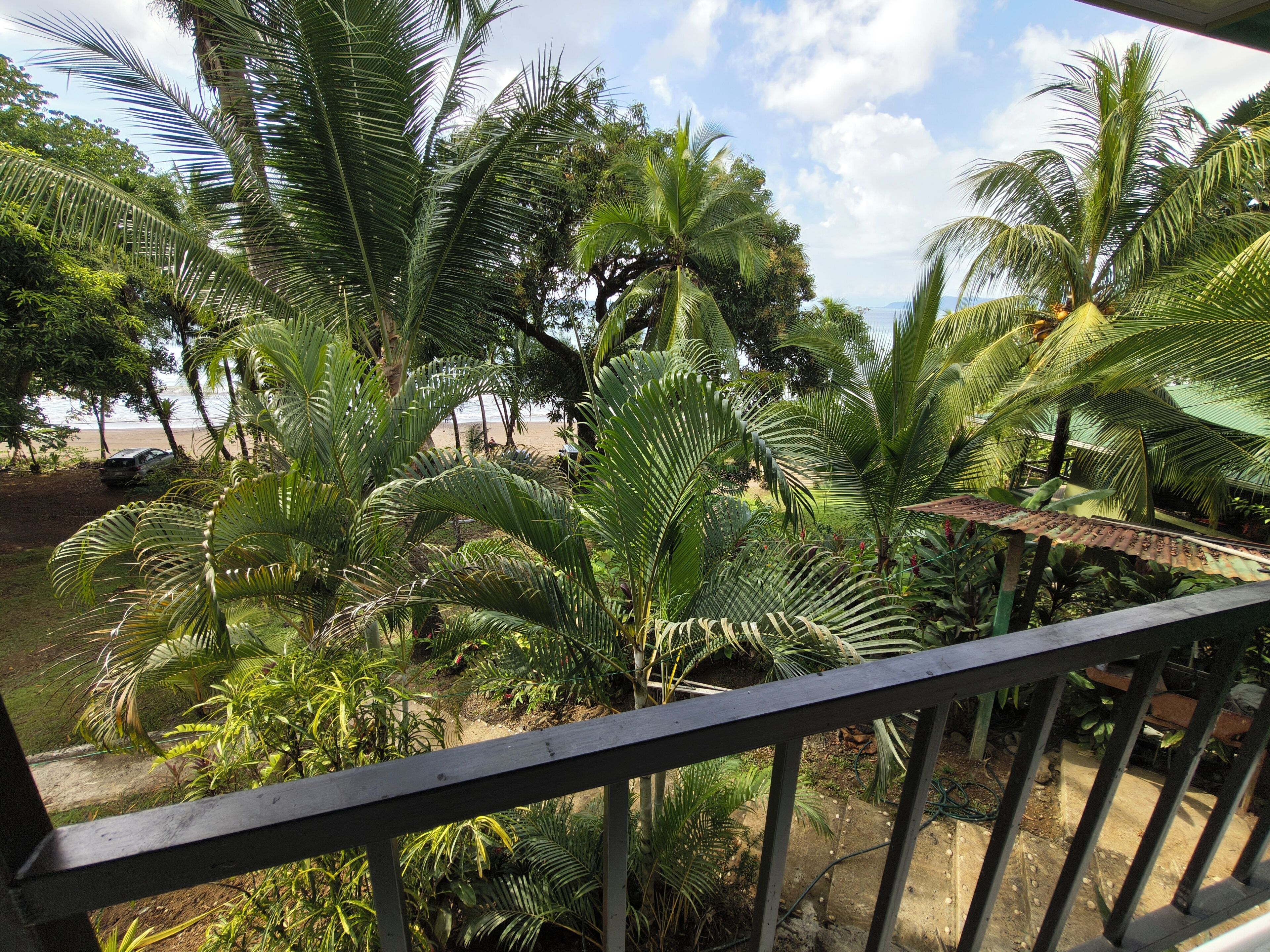 Un balcon avec vue sur une plage et des palmiers.