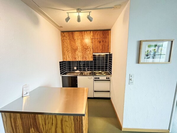 Fridge, oven, cookware/dishes/utensils