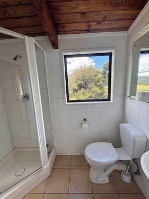 Dusche, Handtücher, Seife, Toilettenpapier