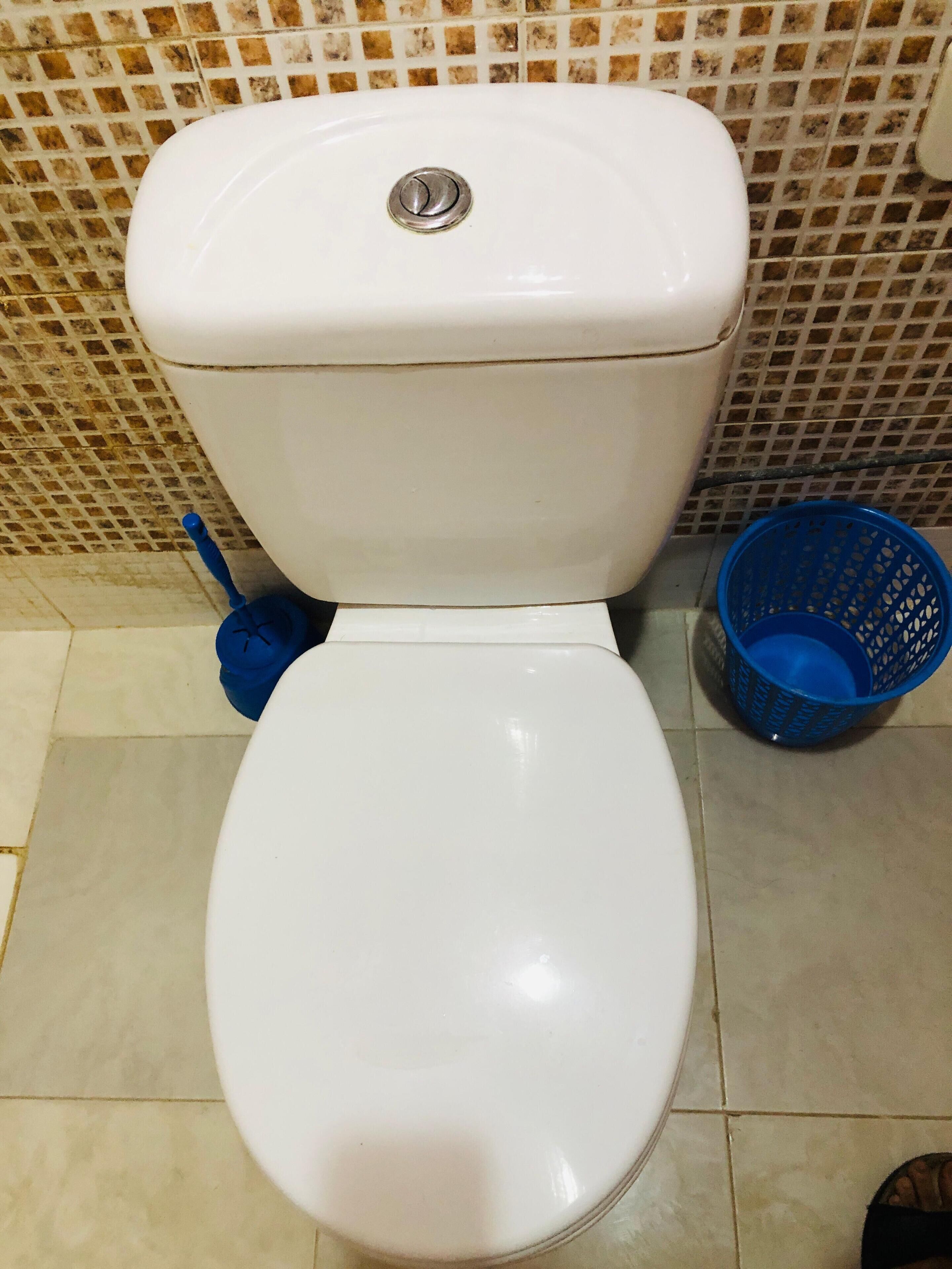 A toilet with a blue bidet attachment and a blue plastic basket beside it.
