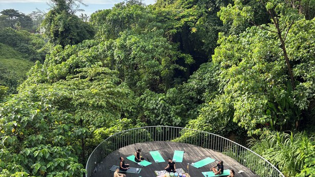 A circular wooden deck surrounded by lush greenery, with people practicing yoga on green mats.