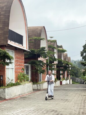 Roller/Moped