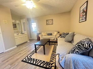 Smart TV, fireplace, books