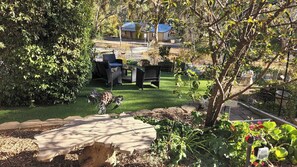 Violet Cottage | Garden view