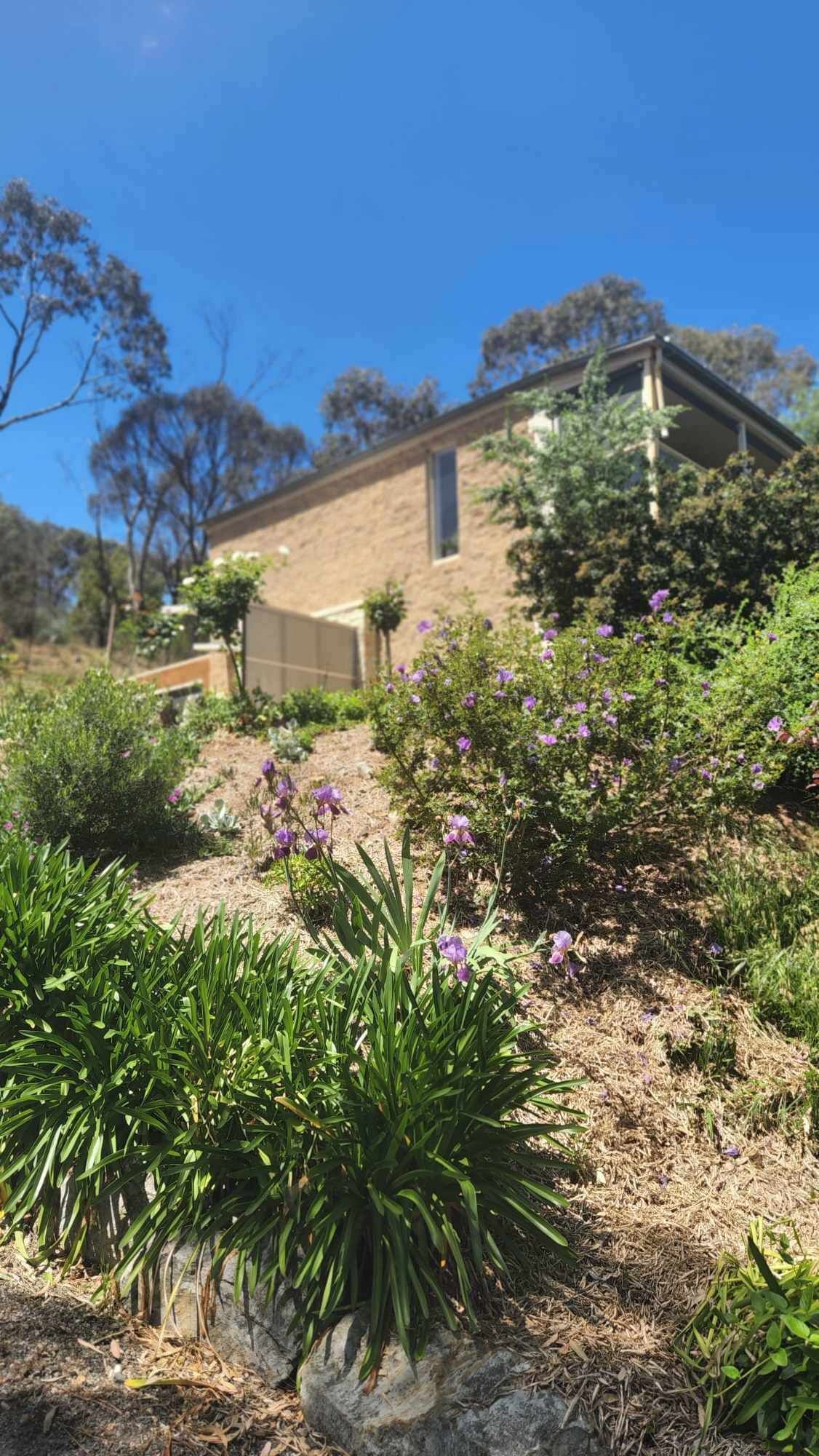 A house with a stone facade, surrounded by a garden with purple flowers and green shrubs.