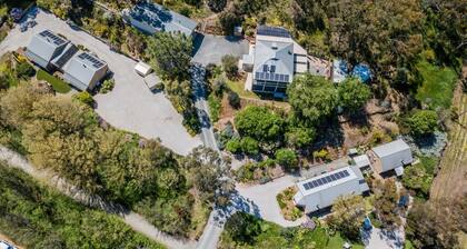 Riesling Trail and Clare Valley Cottages