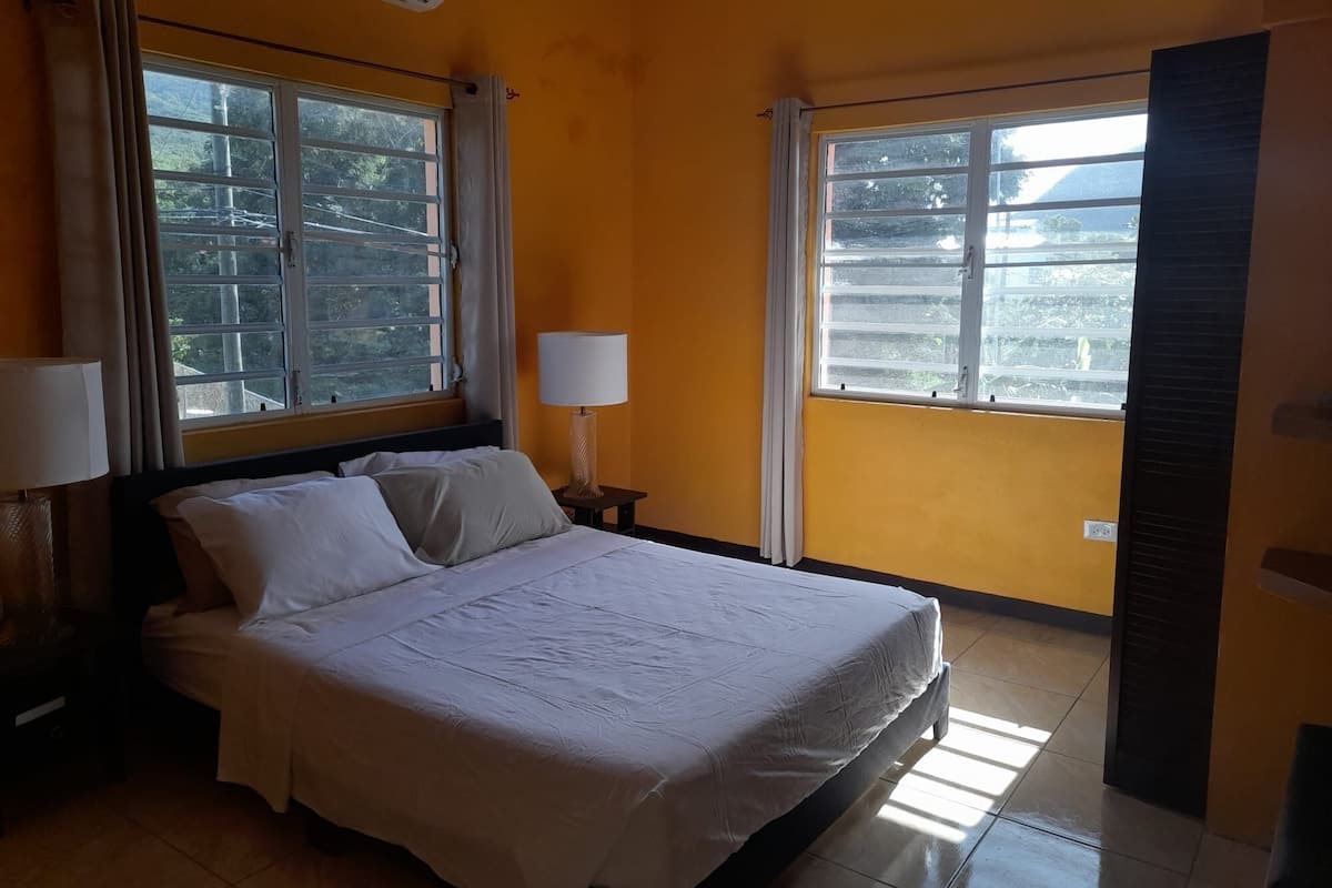 Quarto solteiro luxo, vista para o jardim | Cortinas blackout, Wi-Fi de cortesia