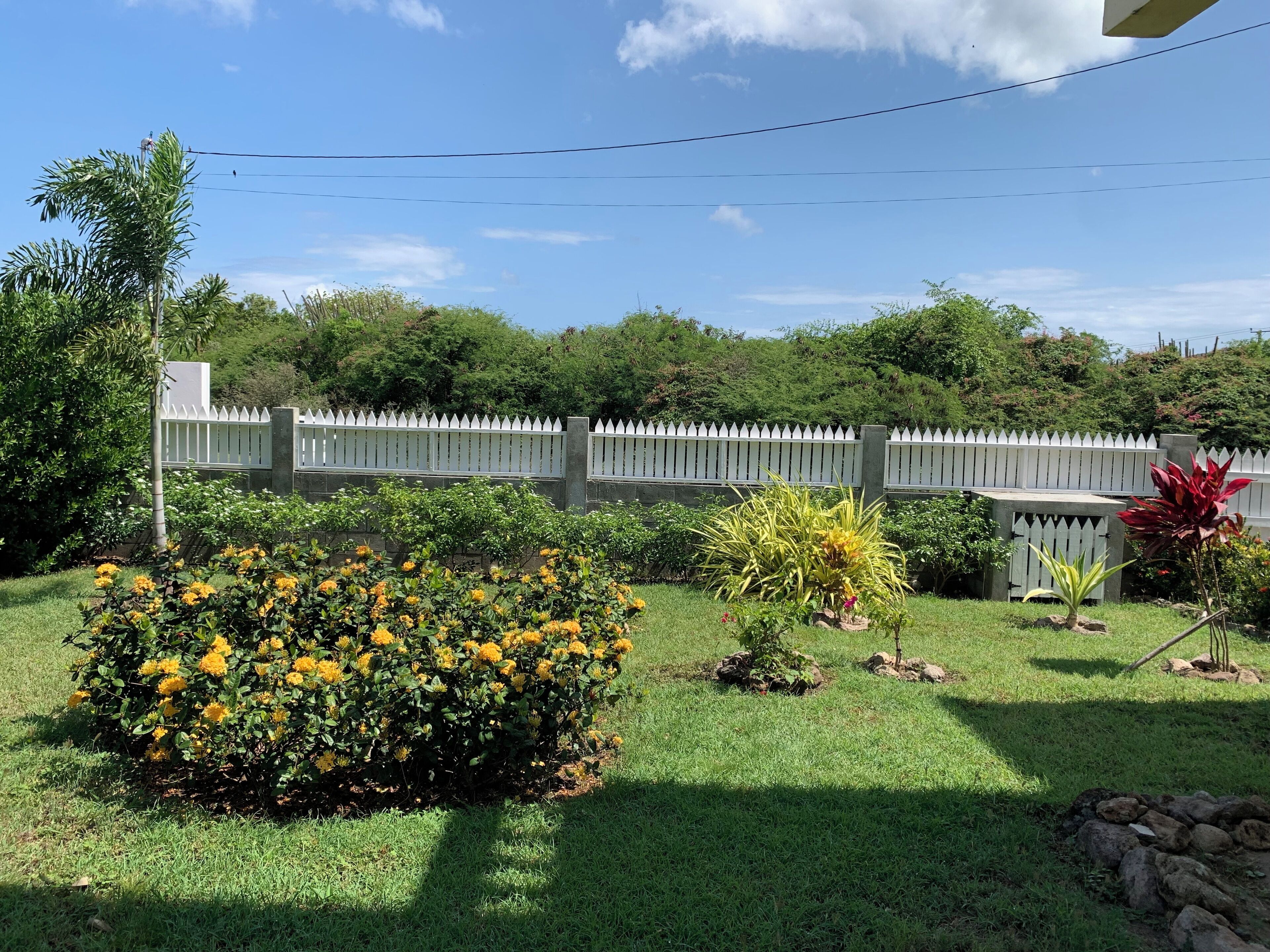 A well-maintained garden with a white picket fence, various flowering plants, and a grassy lawn.