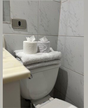 Hair dryer, towels, soap, toilet paper