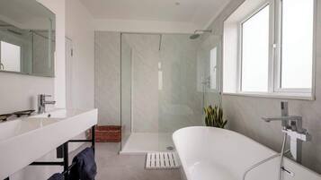 Shower, hair dryer