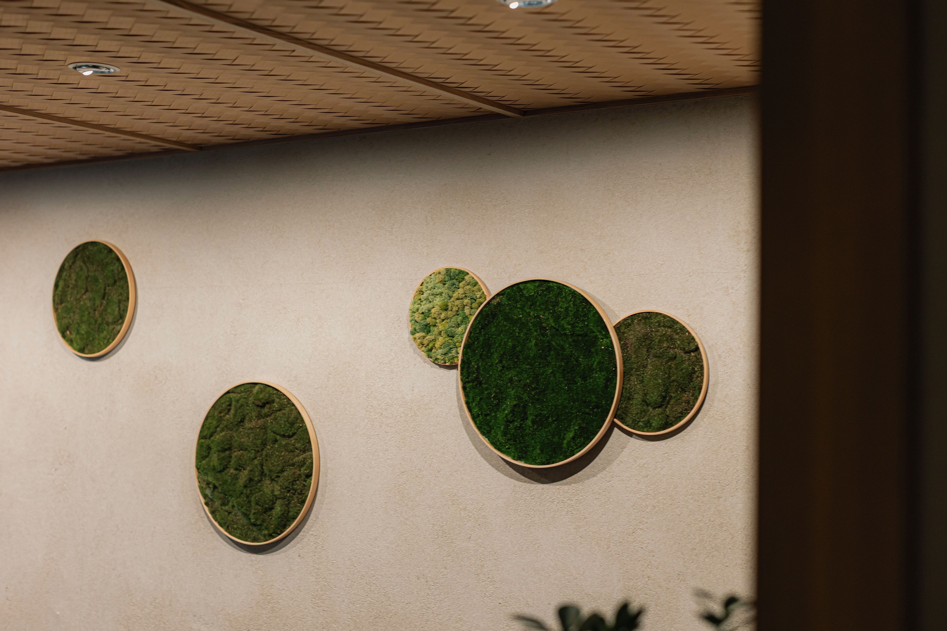 Una pared con cinco macetas ovaladas verdes de distintos tamaños.