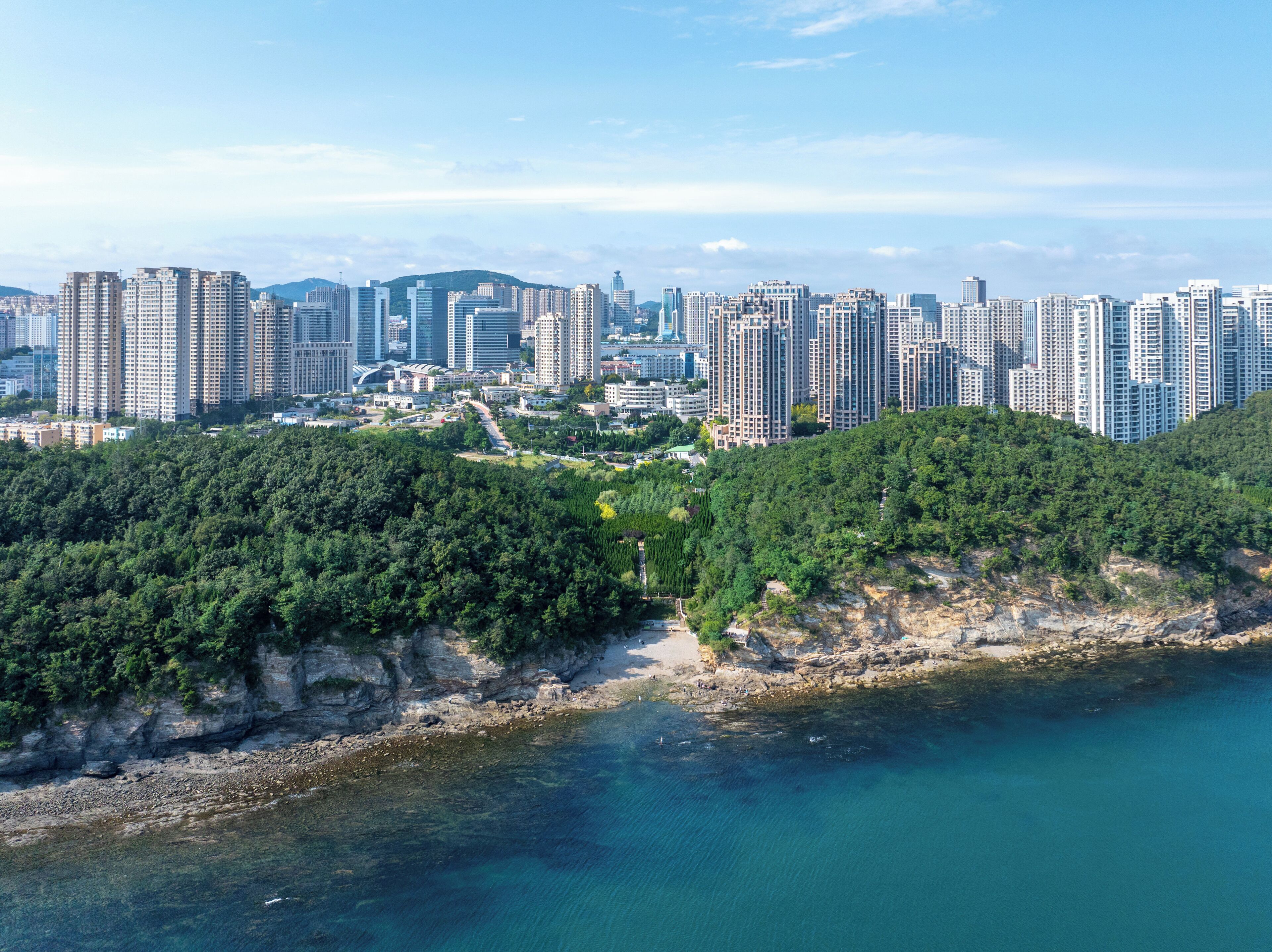 A coastal cityscape with high-rise buildings and a forested area.