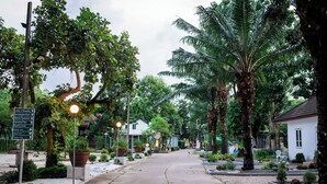 A tree-lined street with a sign indicating amenities like a lobby, reception, and restaurant.