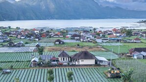 Een modern woongebied met nette rijen huizen en een groot wateroppervlak achtergrond.