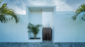 Een moderne entree met een minimalistisch ontwerp, voorzien van een betonnen pad dat leidt naar een deur met een houten paneel.
