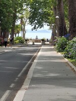 A tree-lined street with a sidewalk, a fountain, and a view of the water in the distance.