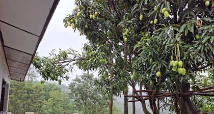The Thanedar Sahib -100+ year-old, 4-bedroom Himachali-style homestay