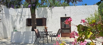 Blue Acacia in Alinda Leros