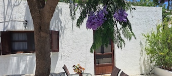 Blue Acacia in Alinda Leros