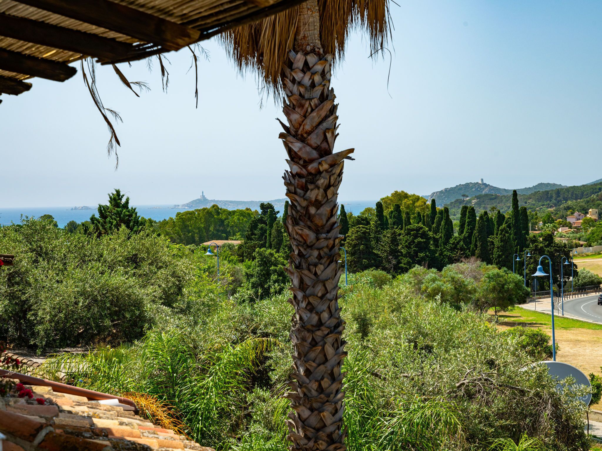 A palm tree in the foreground with a view of a coastal landscape, including trees, a road, and a distant lighthouse.