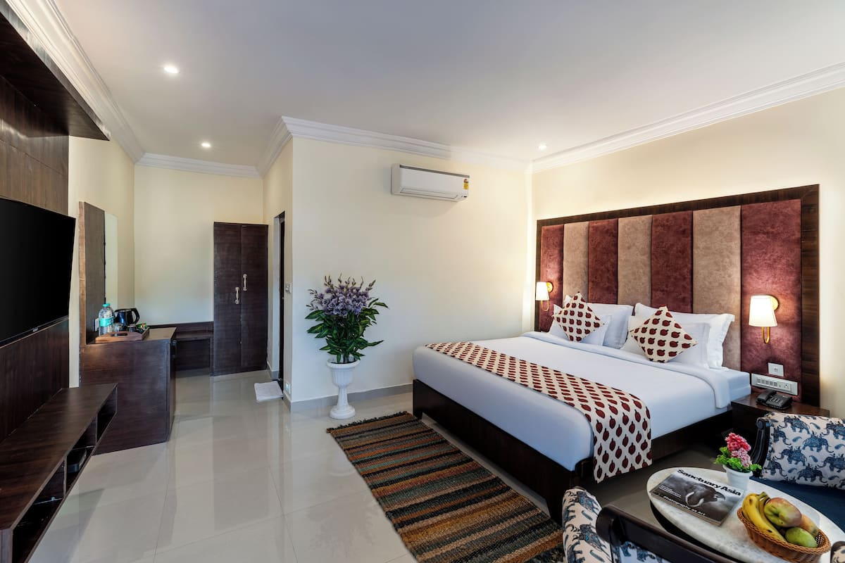 A hotel room with a large bed, a TV, a desk, and a potted plant.