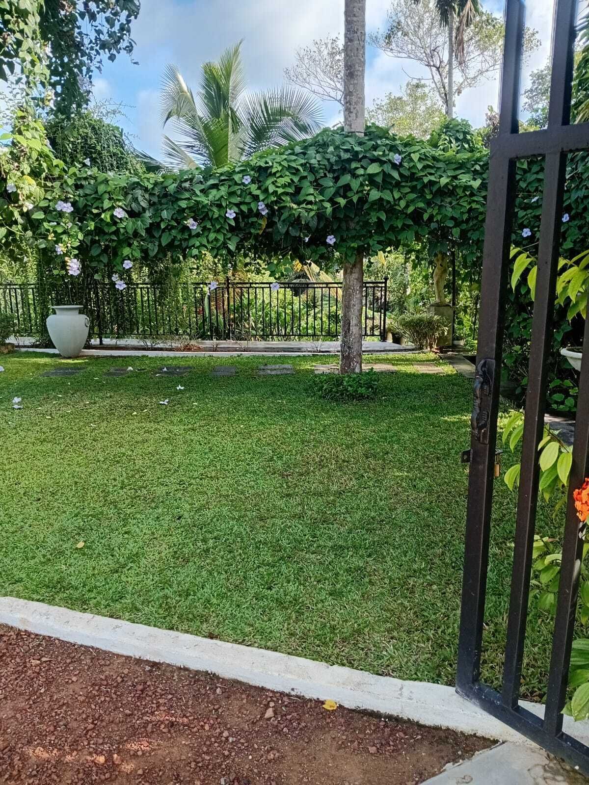 A well-maintained garden with a grassy lawn, a metal fence, and various plants including a vine-covered trellis.