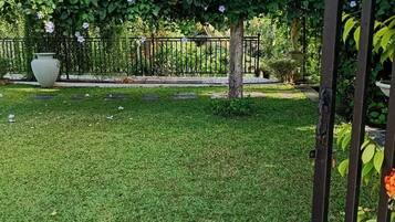 A well-maintained garden with a grassy lawn, a metal fence, and various plants including a vine-covered trellis.