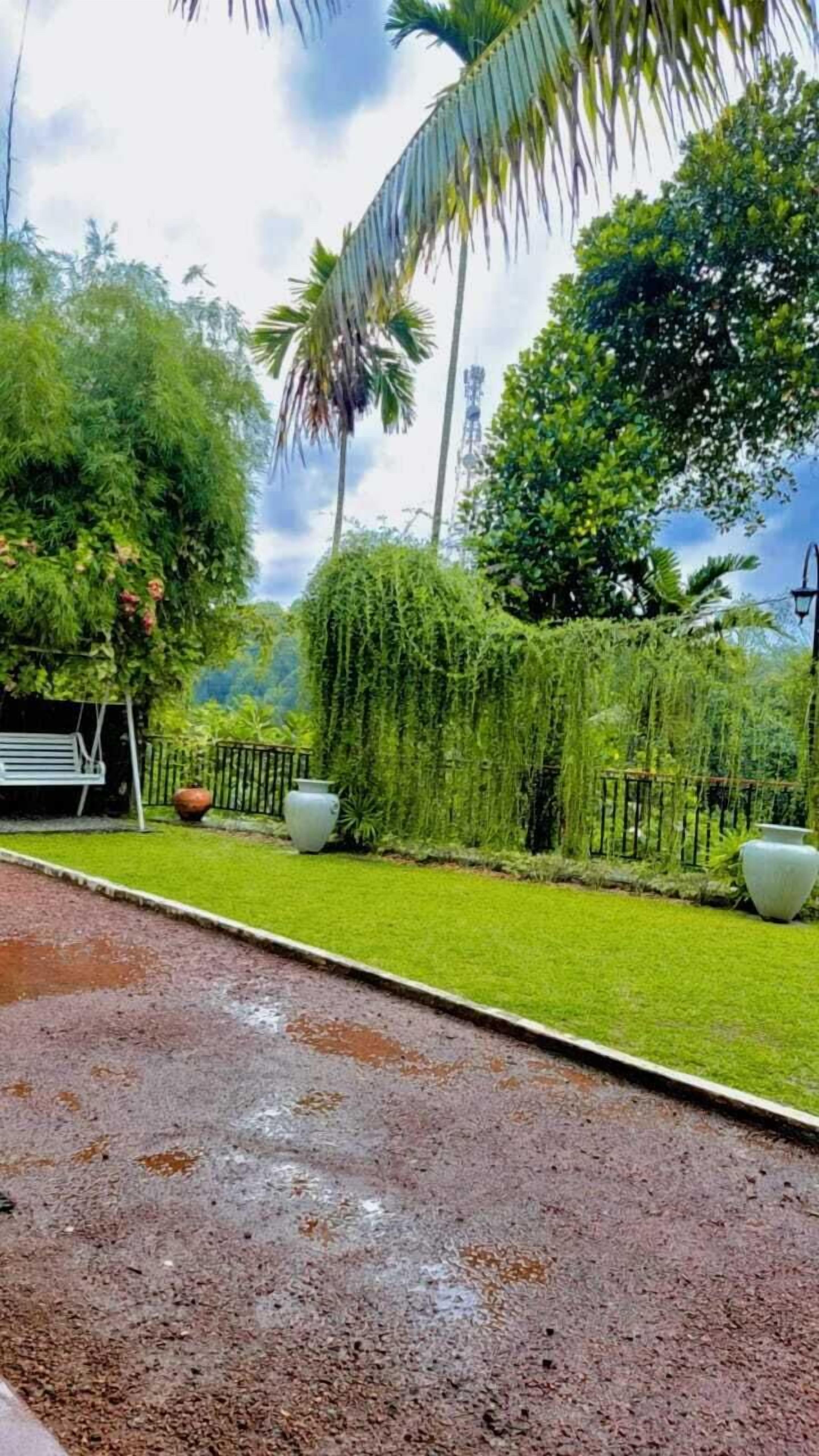 Un jardín con un camino empedrado, abundante vegetación y un banco.