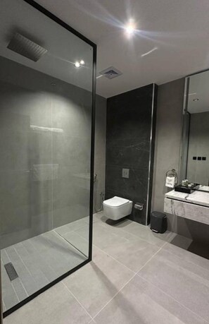 Bañera y ducha independientes, secador de pelo, toallas, jabón